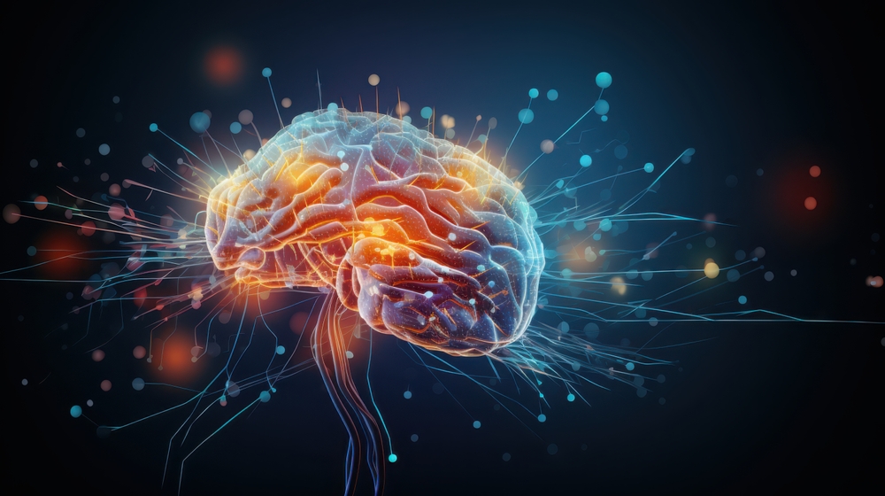 A,Digital,Rendering,Of,A,Human,Brain,Showcasing,Neural,Pathways