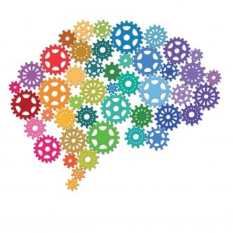 image-php-height-334-image-images-uploads-2025-10-16-68f137b552524-braingearsillustrationhalassastud