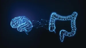 brain-gut-connection