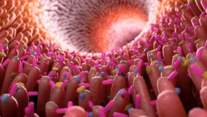 gut-inflammation-link-to-alzheimer-s-disease-confi-gut-inflammation-link-to-alzheimer-s-disease-conf