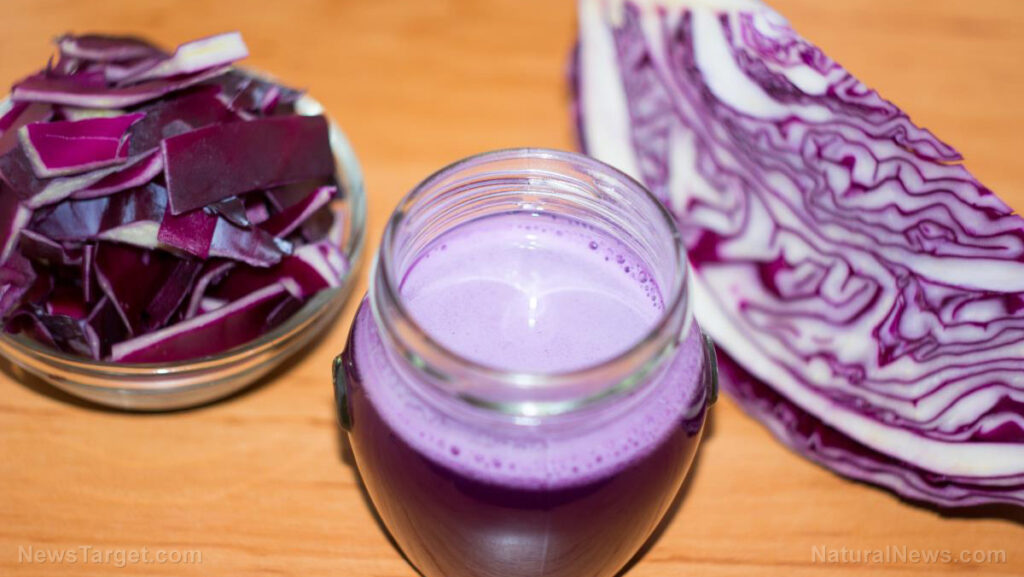 A-Antioxidant-Benefits-C-Cabbage-Calories-Cholesterol