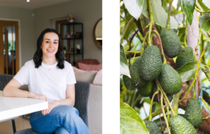 avocadao-fruit
