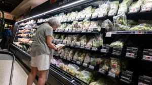 Food Safety Emerges as Key Issue in Upcoming Elections