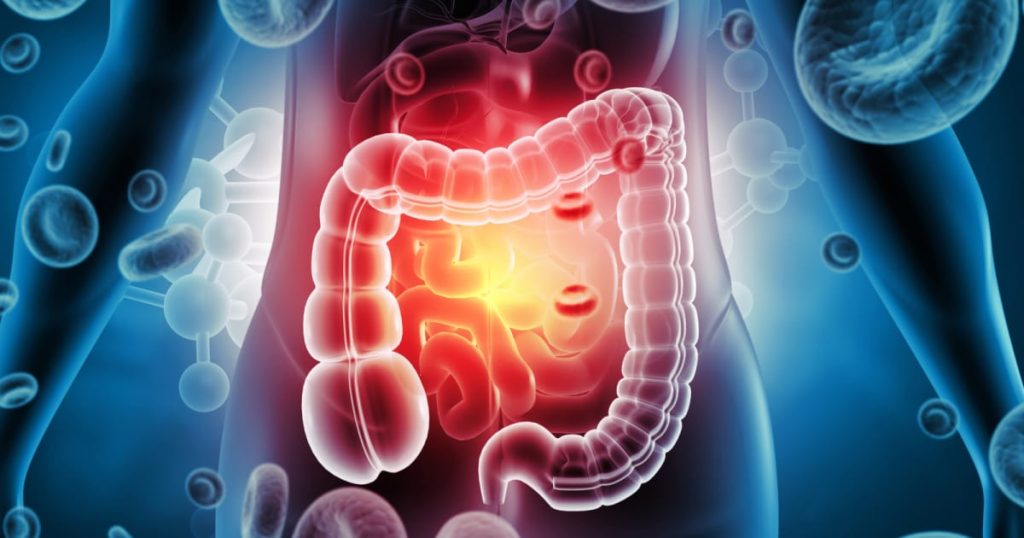 Gut Bacteria Influences Brain Chemistry, Groundbreaking Human Study Reveals