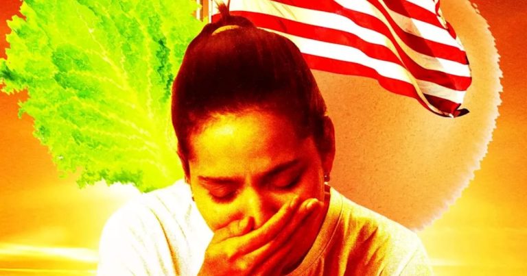 Sick Summer: Salmonella and Lettuce Outbreaks Strike America Hard